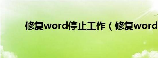 修复word停止工作（修复word）