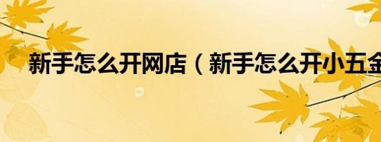 新手怎么开网店（新手怎么开小五金店）