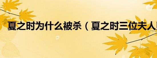 夏之时为什么被杀（夏之时三位夫人照片）