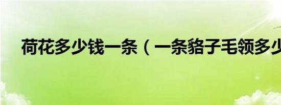 荷花多少钱一条（一条貉子毛领多少钱）