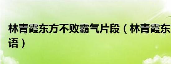 林青霞东方不败霸气片段（林青霞东方不败国语）