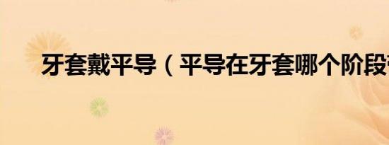 牙套戴平导（平导在牙套哪个阶段带）