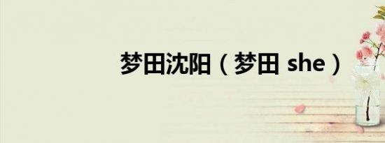 梦田沈阳（梦田 she）