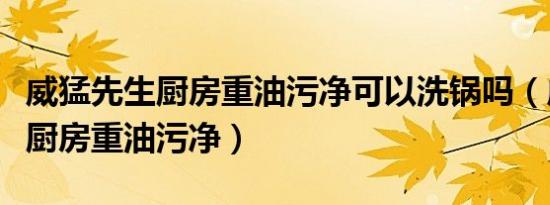 威猛先生厨房重油污净可以洗锅吗（威猛先生厨房重油污净）