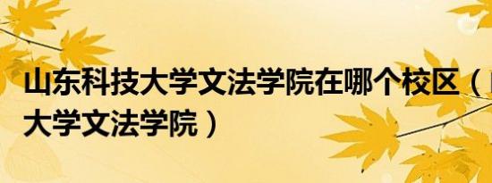 山东科技大学文法学院在哪个校区（山东科技大学文法学院）