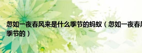 忽如一夜春风来是什么季节的蚂蚁（忽如一夜春风来是什么季节的）