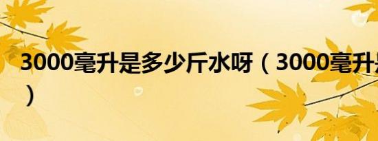 3000毫升是多少斤水呀（3000毫升是多少升）