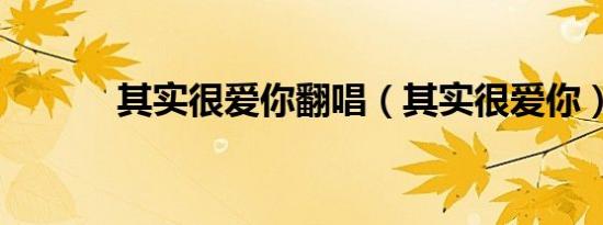 其实很爱你翻唱（其实很爱你）