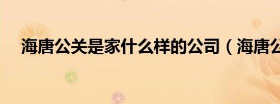 海唐公关是家什么样的公司（海唐公关）