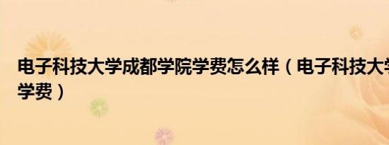 电子科技大学成都学院学费怎么样（电子科技大学成都学院学费）