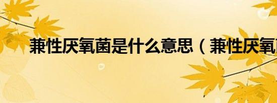 兼性厌氧菌是什么意思（兼性厌氧菌）