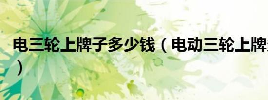 电三轮上牌子多少钱（电动三轮上牌多少钱啊）