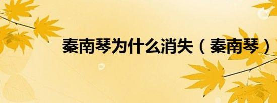 秦南琴为什么消失（秦南琴）