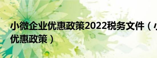 小微企业优惠政策2022税务文件（小微企业优惠政策）