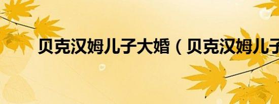 贝克汉姆儿子大婚（贝克汉姆儿子）
