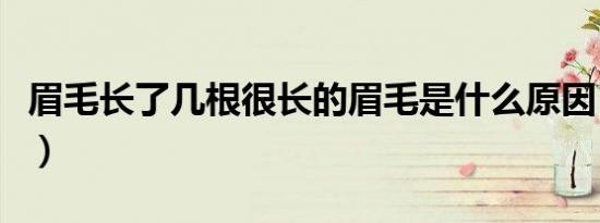 眉毛长了几根很长的眉毛是什么原因（眉毛长）