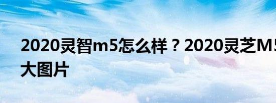 2020灵智m5怎么样？2020灵芝M5全国六大图片