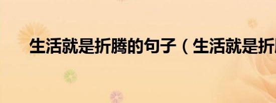生活就是折腾的句子（生活就是折腾）