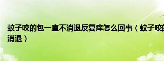蚊子咬的包一直不消退反复痒怎么回事（蚊子咬的包一直不消退）