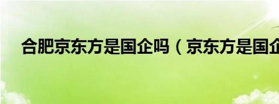 合肥京东方是国企吗（京东方是国企吗）