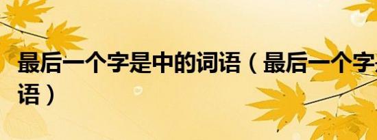 最后一个字是中的词语（最后一个字是中的成语）