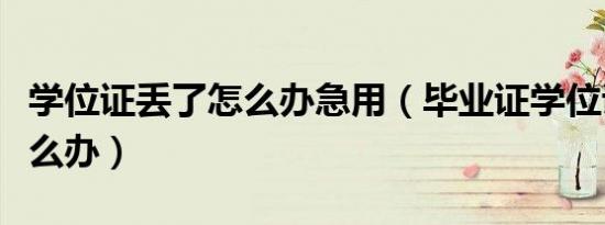 学位证丢了怎么办急用（毕业证学位证丢了怎么办）