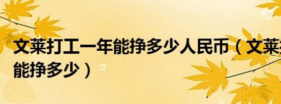 文莱打工一年能挣多少人民币（文莱打工一年能挣多少）