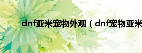 dnf亚米宠物外观（dnf宠物亚米）