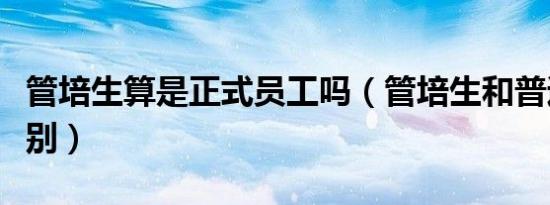 管培生算是正式员工吗（管培生和普通员工区别）
