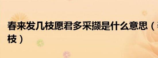 春来发几枝愿君多采撷是什么意思（春来发几枝）