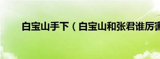 白宝山手下（白宝山和张君谁厉害）