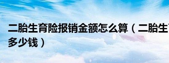 二胎生育险报销金额怎么算（二胎生育险报销多少钱）