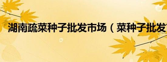 湖南疏菜种子批发市场（菜种子批发市场）