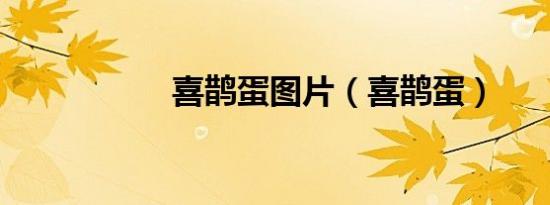 喜鹊蛋图片（喜鹊蛋）