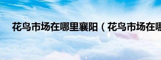 花鸟市场在哪里襄阳（花鸟市场在哪里）