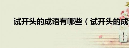 试开头的成语有哪些（试开头的成语）