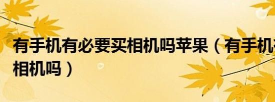 有手机有必要买相机吗苹果（有手机有必要买相机吗）