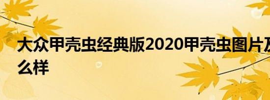 大众甲壳虫经典版2020甲壳虫图片及报价怎么样