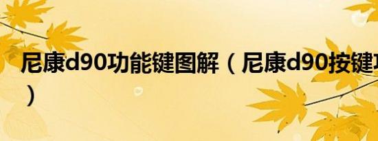 尼康d90功能键图解（尼康d90按键功能讲解）
