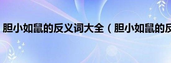 胆小如鼠的反义词大全（胆小如鼠的反义词）