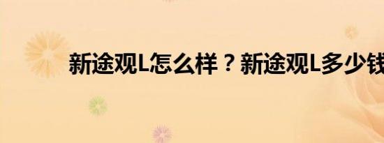 新途观L怎么样？新途观L多少钱