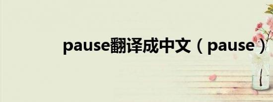pause翻译成中文（pause）
