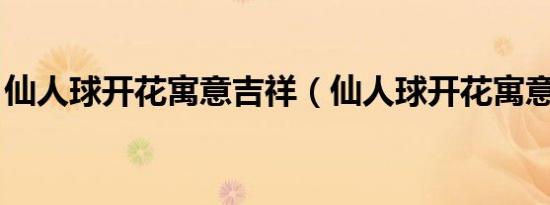 仙人球开花寓意吉祥（仙人球开花寓意 风水）