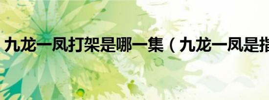 九龙一凤打架是哪一集（九龙一凤是指哪些）