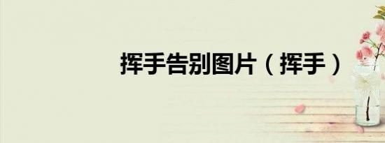 挥手告别图片（挥手）
