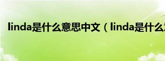 linda是什么意思中文（linda是什么意思）