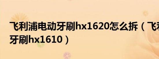 飞利浦电动牙刷hx1620怎么拆（飞利浦电动牙刷hx1610）