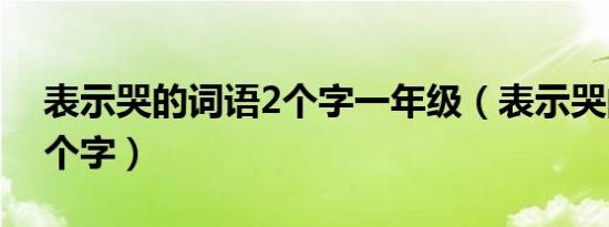 表示哭的词语2个字一年级（表示哭的词语2个字）
