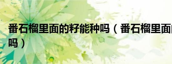 番石榴里面的籽能种吗（番石榴里面的籽能吃吗）