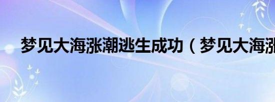 梦见大海涨潮逃生成功（梦见大海涨潮）